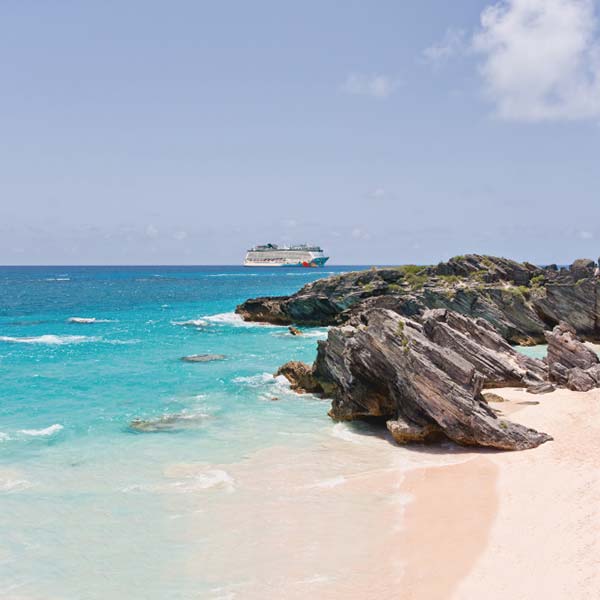 Travel Leaders Image