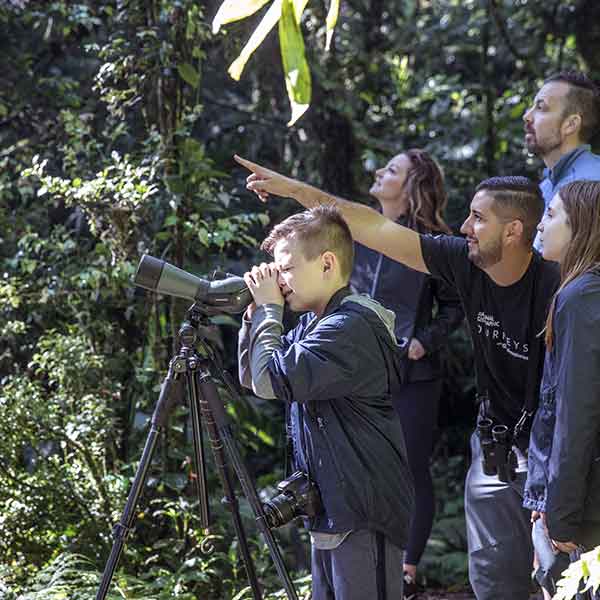 Travel Leaders Image
