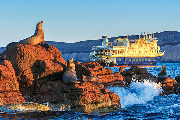 Travel Leaders Image