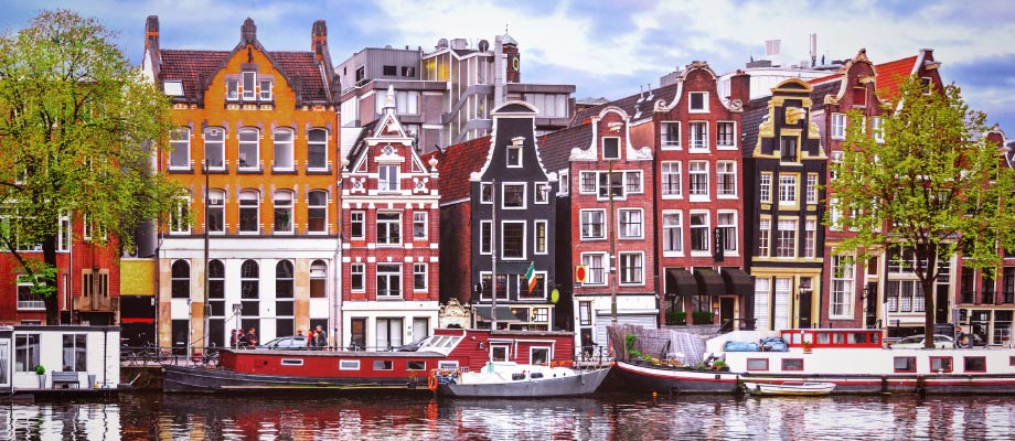 Travel Leaders Image