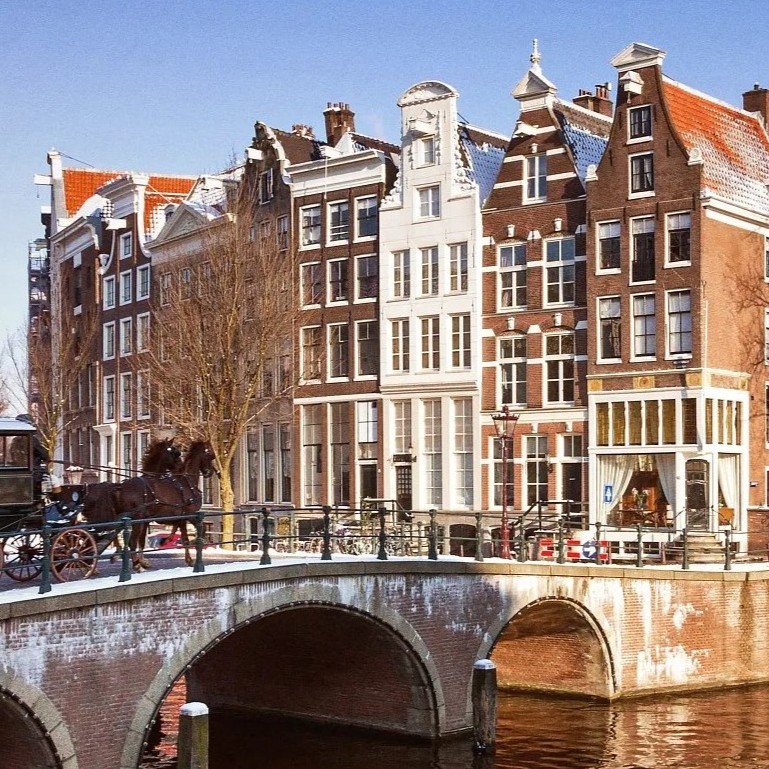 Travel Leaders Image