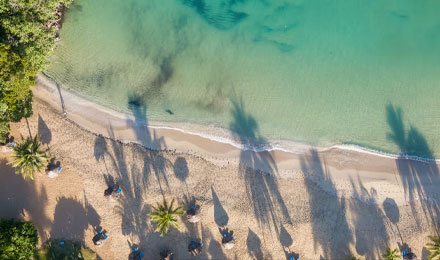 Jamaica