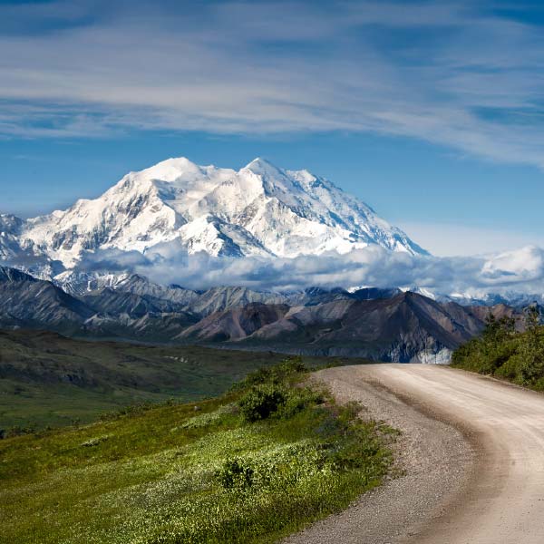 Travel Leaders Image