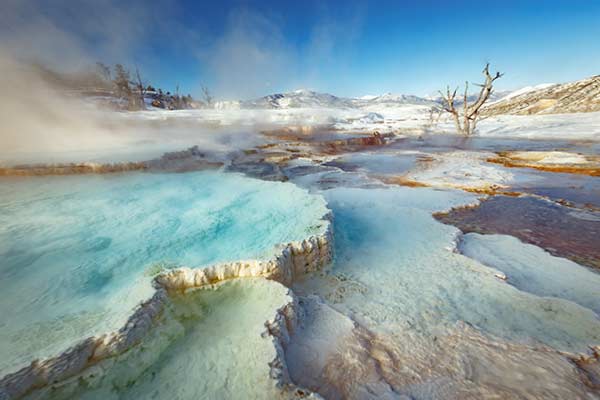 Travel Leaders Image
