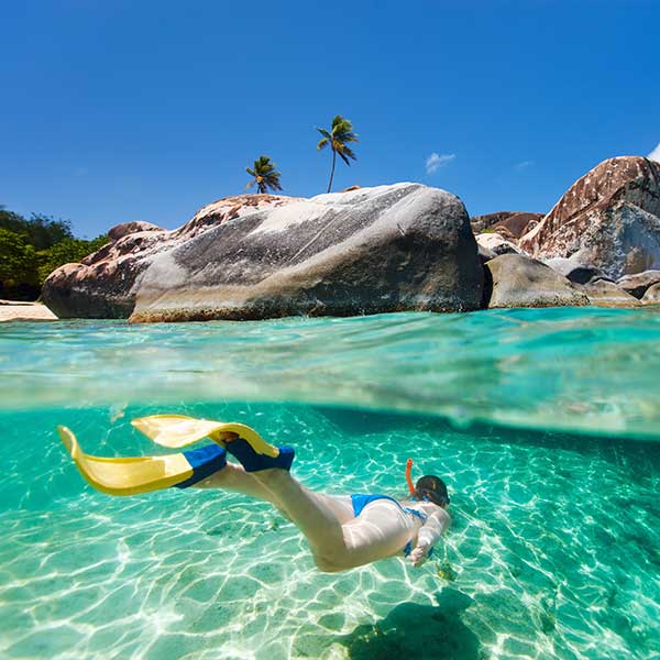 Travel Leaders Image