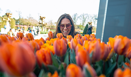 Spring River Cruises in the Netherlands & Belgium