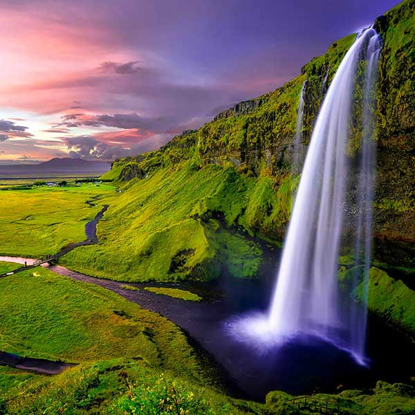 Travel Leaders Image