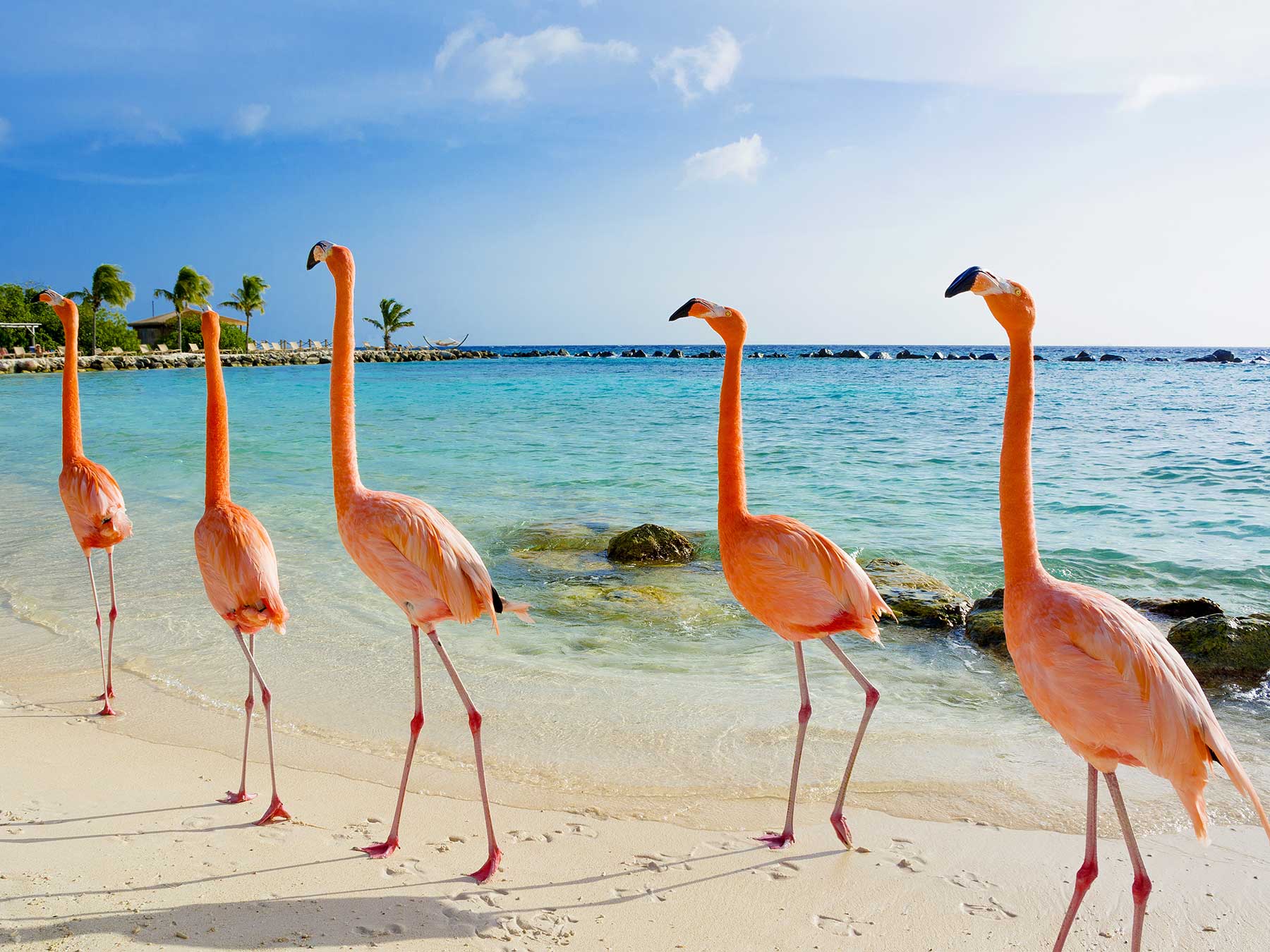 the Caribbean travel inspiration