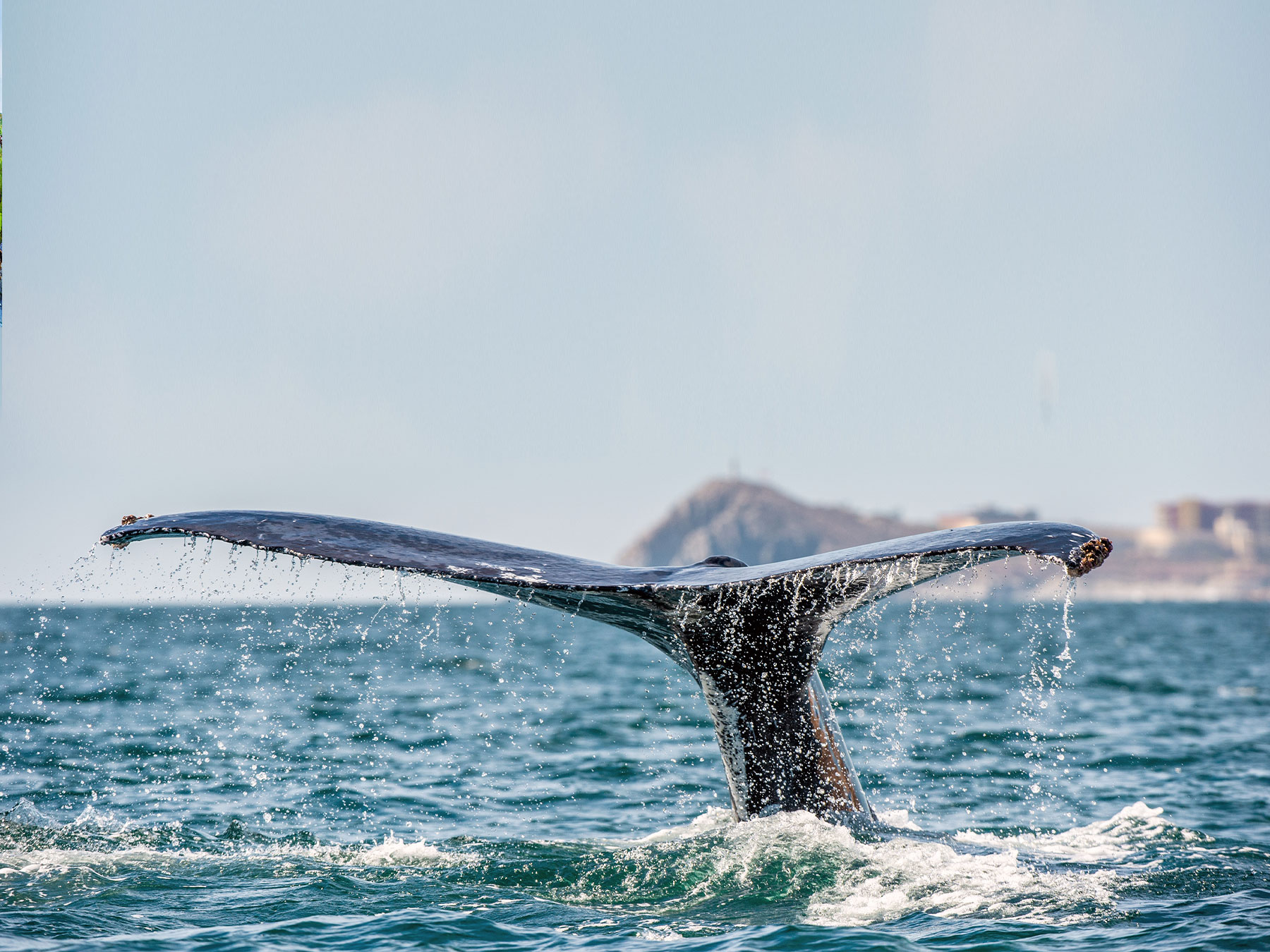 Mexico travel inspiration